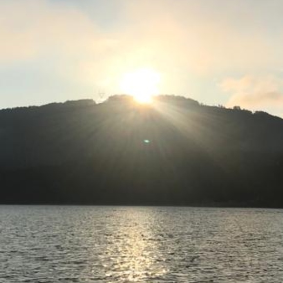 Meet your Posher, Robert - Picture 1 of 1